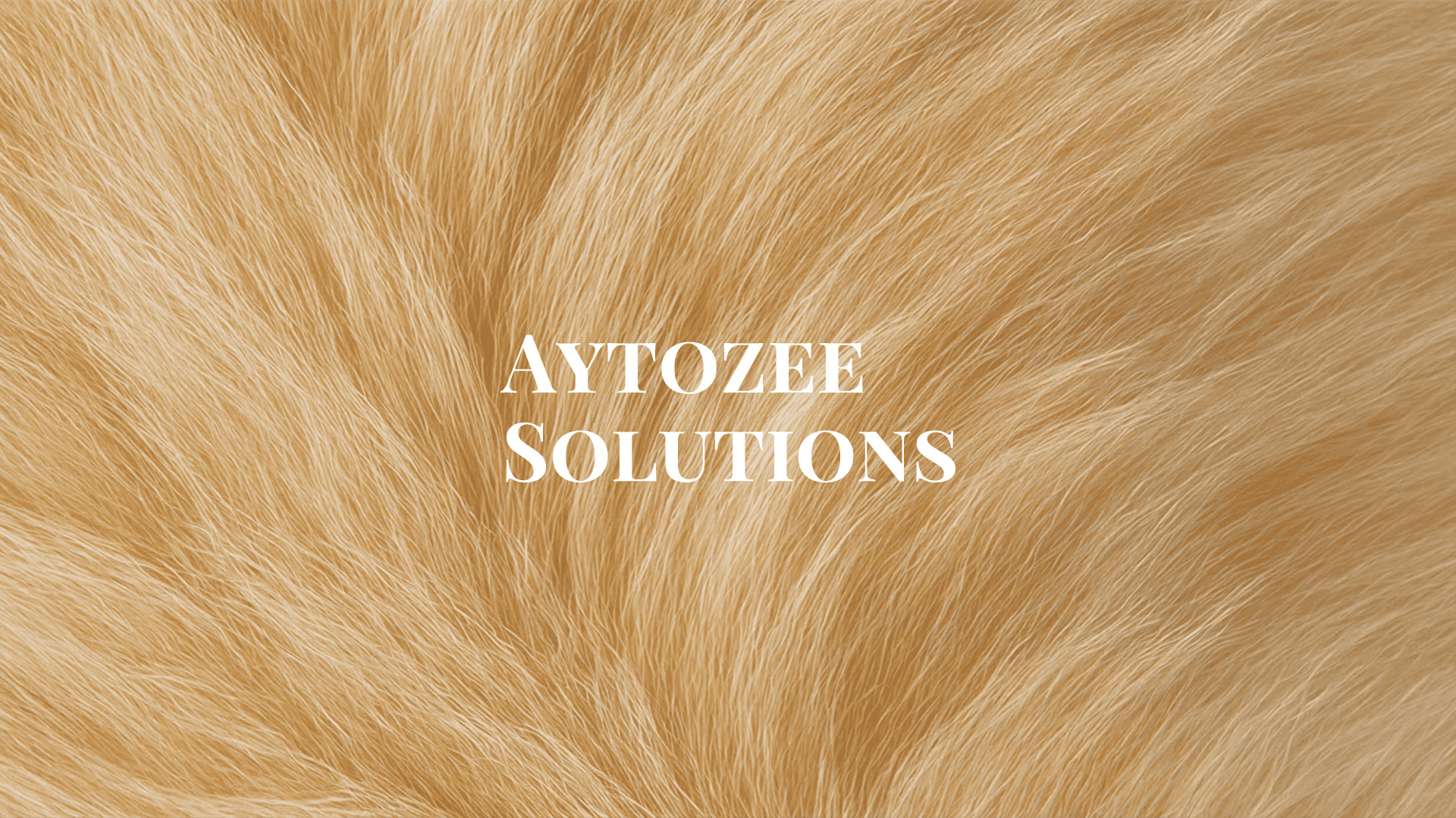 AYTOZEE Solutions