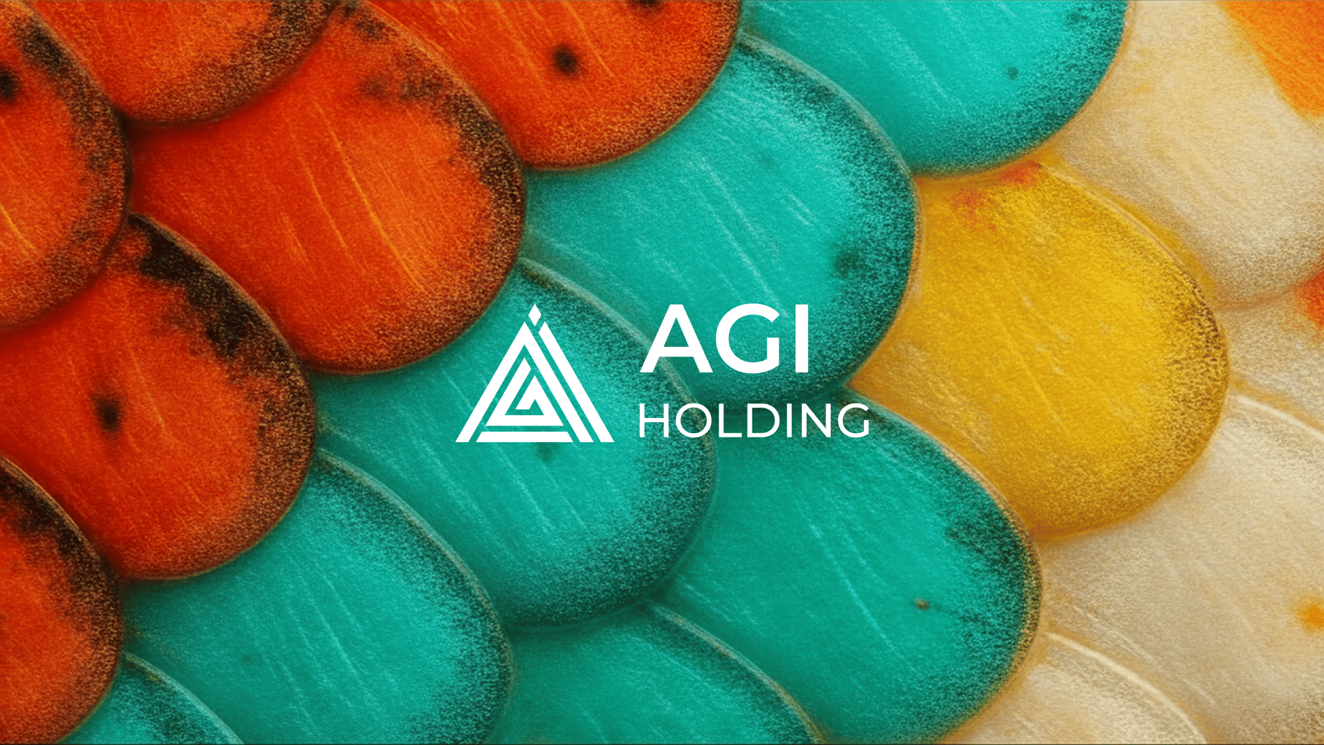 AGI Holding
